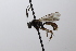 ( - CollHH3669)  @11 [ ] Creative Commons  Attribution Non-Commercial Share-Alike (2022) Hakon Haraldseide Unspecified