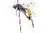  ( - CollHH3715)  @11 [ ] Creative Commons  Attribution Non-Commercial Share-Alike (2023) Hakon Haraldseide Unspecified