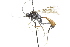  ( - CollHH3717)  @11 [ ] Creative Commons  Attribution Non-Commercial Share-Alike (2023) Hakon Haraldseide Unspecified