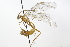  ( - CollHH3725)  @11 [ ] Creative Commons  Attribution Non-Commercial Share-Alike (2023) Hakon Haraldseide Unspecified