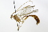  ( - CollHH3726)  @11 [ ] Creative Commons  Attribution Non-Commercial Share-Alike (2023) Hakon Haraldseide Unspecified