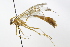  ( - CollHH3727)  @11 [ ] Creative Commons  Attribution Non-Commercial Share-Alike (2023) Hakon Haraldseide Unspecified