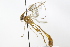  ( - CollHH3728)  @11 [ ] Creative Commons  Attribution Non-Commercial Share-Alike (2023) Hakon Haraldseide Unspecified