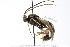  ( - CollHH3738)  @11 [ ] Creative Commons  Attribution Non-Commercial Share-Alike (2023) Hakon Haraldseide Unspecified