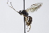  ( - CollHH3745)  @11 [ ] Creative Commons  Attribution Non-Commercial Share-Alike (2023) Hakon Haraldseide Unspecified