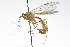  ( - CollHH3753)  @11 [ ] Creative Commons  Attribution Non-Commercial Share-Alike (2023) Hakon Haraldseide Unspecified