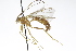  ( - CollHH3754)  @11 [ ] Creative Commons  Attribution Non-Commercial Share-Alike (2023) Hakon Haraldseide Unspecified