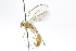  ( - CollHH3757)  @11 [ ] Creative Commons  Attribution Non-Commercial Share-Alike (2023) Hakon Haraldseide Unspecified