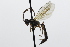  ( - CollHH3811)  @11 [ ] Creative Commons  Attribution Non-Commercial Share-Alike (2023) Hakon Haraldseide Unspecified