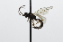  ( - CollHH3812)  @11 [ ] Creative Commons  Attribution Non-Commercial Share-Alike (2023) Hakon Haraldseide Unspecified