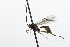  ( - CollHH3841)  @11 [ ] Creative Commons  Attribution Non-Commercial Share-Alike (2023) Hakon Haraldseide Unspecified