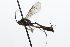  ( - CollHH3843)  @11 [ ] Creative Commons  Attribution Non-Commercial Share-Alike (2023) Hakon Haraldseide Unspecified