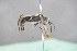  ( - GBOL18764)  @11 [ ] CreativeCommons - Attribution Non-Commercial Share-Alike (2015) Unspecified SNSB, Zoologische Staatssammlung Muenchen