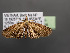  (Girida - VIETBIO-29776-D04)  @11 [ ] CreativeCommons - Attribution Non-Commercial Share-Alike (2018) SNSB, Staatliche Naturwissenschaftliche Sammlungen Bayerns ZSM (SNSB, Zoologische Staatssammlung Muenchen)