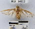  ( - YB-BCI14593)  @13 [ ] No Rights Reserved  Unspecified Unspecified