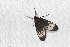  ( - YB-BCI189805)  @11 [ ] No Rights Reserved  Unspecified Unspecified