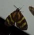  ( - YB-BCI191702)  @11 [ ] No Rights Reserved  Unspecified Unspecified