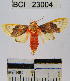  ( - YB-BCI23004)  @13 [ ] No Rights Reserved  Unspecified Unspecified