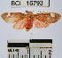  ( - YB-BCI16793)  @11 [ ] No Rights Reserved  Unspecified Unspecified