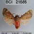  ( - YB-BCI21686)  @11 [ ] No Rights Reserved  Unspecified Unspecified