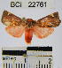  ( - YB-BCI22761)  @11 [ ] No Rights Reserved  Unspecified Unspecified