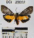  ( - YB-BCI20052)  @12 [ ] No Rights Reserved  Unspecified Unspecified