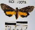  ( - YB-BCI23076)  @12 [ ] No Rights Reserved  Unspecified Unspecified