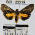  ( - YB-BCI25519)  @12 [ ] No Rights Reserved  Unspecified Unspecified