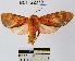  ( - YB-BCI22379)  @14 [ ] No Rights Reserved  Unspecified Unspecified