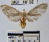  (Agaraea sp. 1YB - YB-BCI18192)  @15 [ ] No Rights Reserved  Unspecified Unspecified