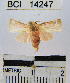  ( - YB-BCI14247)  @12 [ ] No Rights Reserved  Unspecified Unspecified