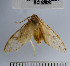  ( - YB-BCI52020)  @12 [ ] No Rights Reserved  Unspecified Unspecified