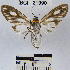  ( - YB-BCI21990)  @14 [ ] No Rights Reserved  Unspecified Unspecified