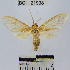  ( - YB-BCI21938)  @13 [ ] No Rights Reserved  Unspecified Unspecified