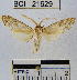  ( - YB-BCI21629)  @12 [ ] No Rights Reserved  Unspecified Unspecified