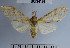 ( - YB-BCI34126)  @12 [ ] No Rights Reserved  Unspecified Unspecified