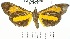  ( - YB-BCI33654)  @11 [ ] No Rights Reserved  Unspecified Unspecified