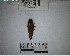  ( - YB-BCI184487)  @11 [ ] No Rights Reserved  Unspecified Unspecified