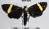  ( - YB-BCI52805)  @12 [ ] No Rights Reserved  Unspecified Unspecified
