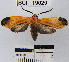  ( - YB-BCI19029)  @13 [ ] No Rights Reserved  Unspecified Unspecified