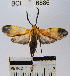  ( - YB-BCI6886)  @14 [ ] No Rights Reserved  Unspecified Unspecified