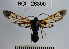  ( - YB-BCI26300)  @11 [ ] No Rights Reserved  Unspecified Unspecified