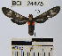  ( - YB-BCI24475)  @14 [ ] No Rights Reserved  Unspecified Unspecified