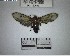  ( - YB-BCI192678)  @11 [ ] No Rights Reserved  Unspecified Unspecified