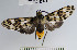  ( - YB-BCI52271)  @14 [ ] No Rights Reserved  Unspecified Unspecified