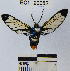  ( - YB-BCI20082)  @14 [ ] No Rights Reserved  Unspecified Unspecified