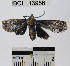  ( - YB-BCI13956)  @12 [ ] No Rights Reserved  Unspecified Unspecified