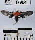  ( - YB-BCI17904)  @14 [ ] No Rights Reserved  Unspecified Unspecified