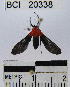  ( - YB-BCI20338)  @13 [ ] No Rights Reserved  Unspecified Unspecified