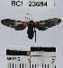  ( - YB-BCI23684)  @13 [ ] No Rights Reserved  Unspecified Unspecified